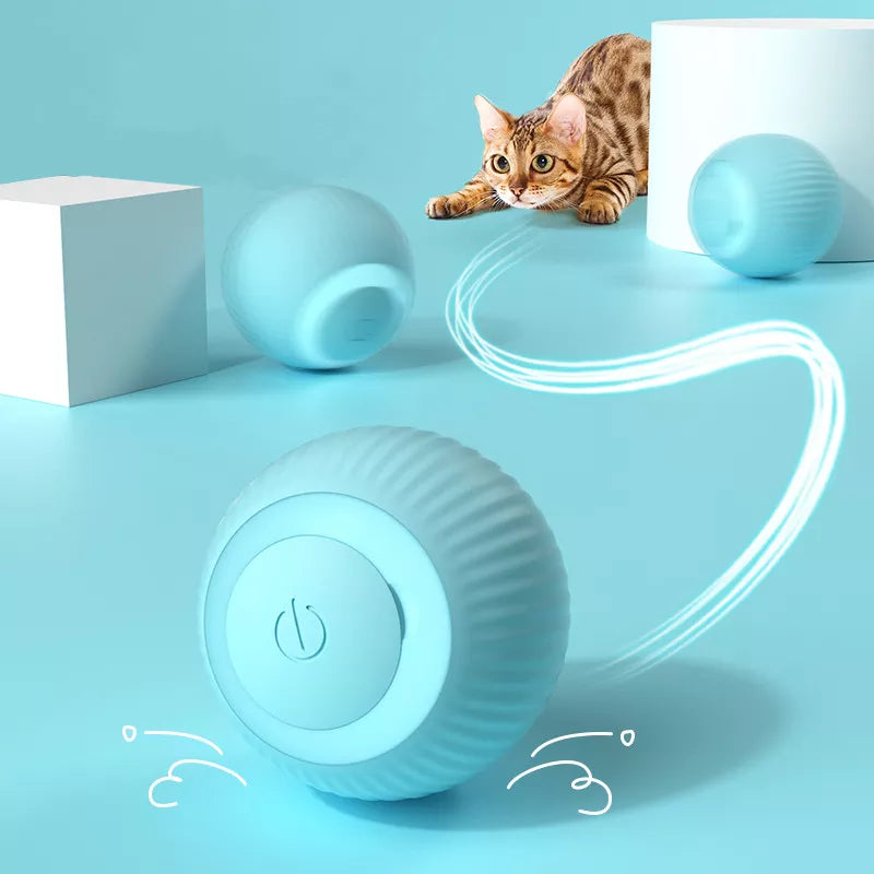 Rolling Cat Toy