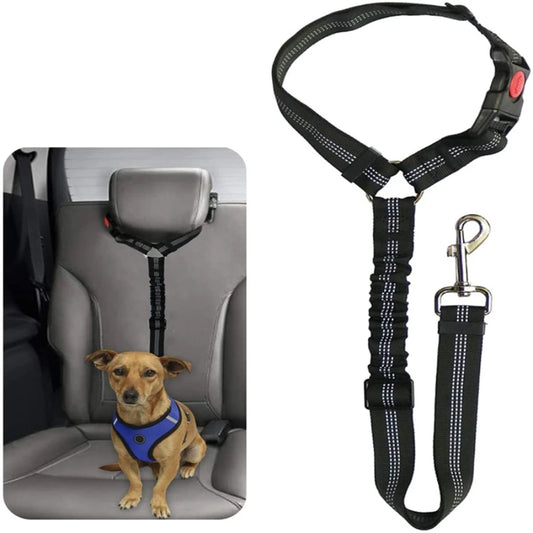 Sicherheitsgurt für Haustiere im Auto