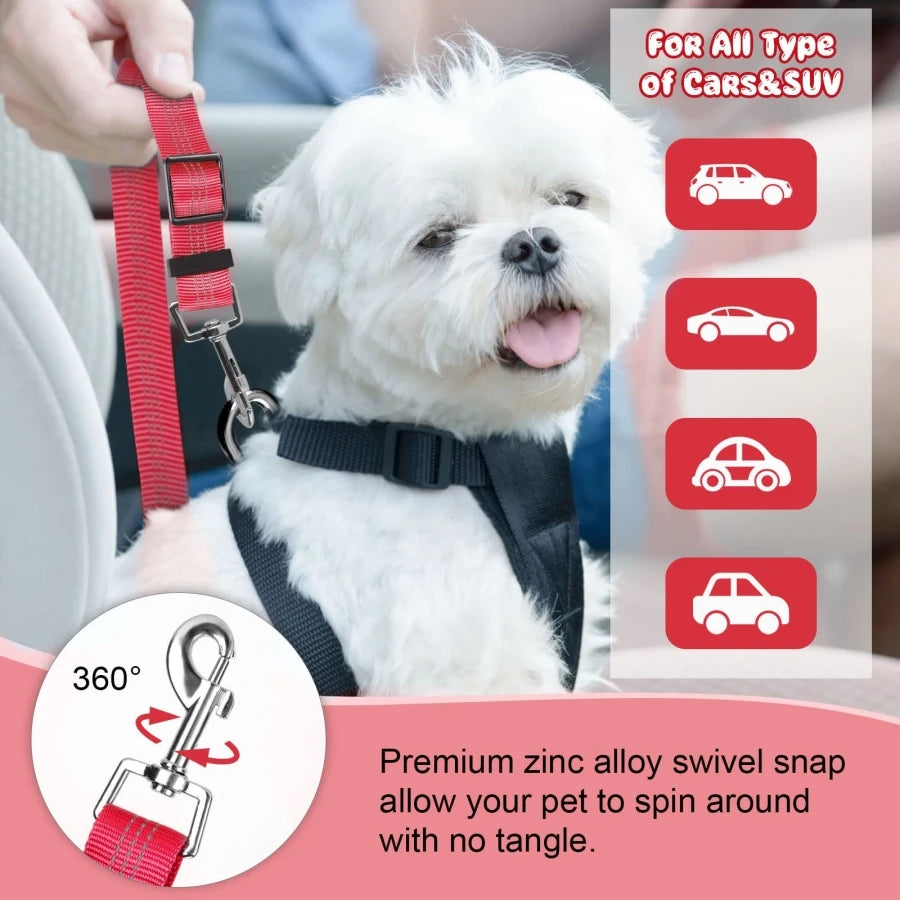 Sicherheitsgurt für Haustiere im Auto